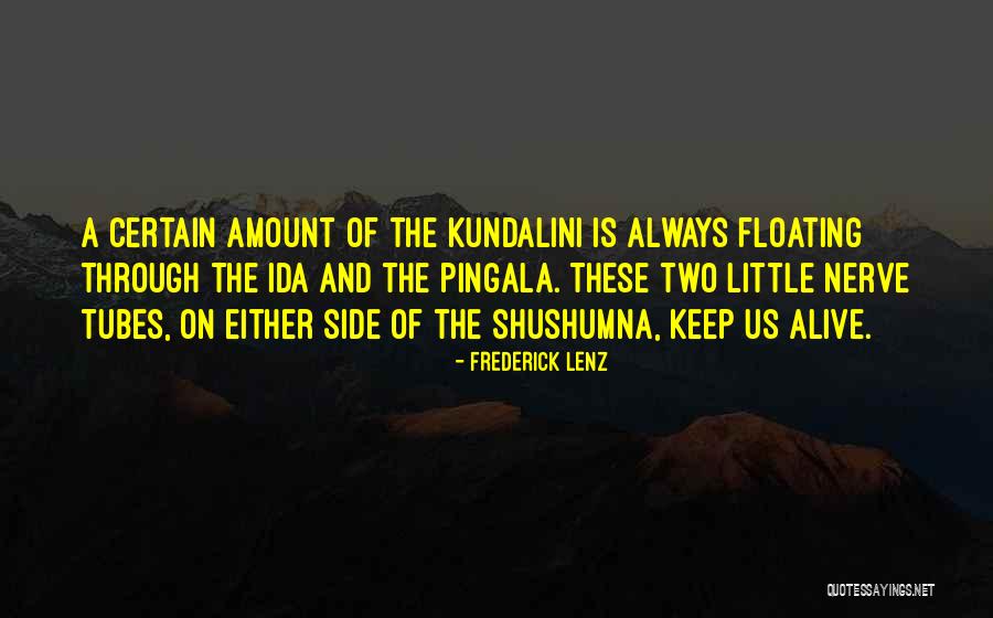 Moureses Quotes By Frederick Lenz Moureses Quotes By Frederick Lenz