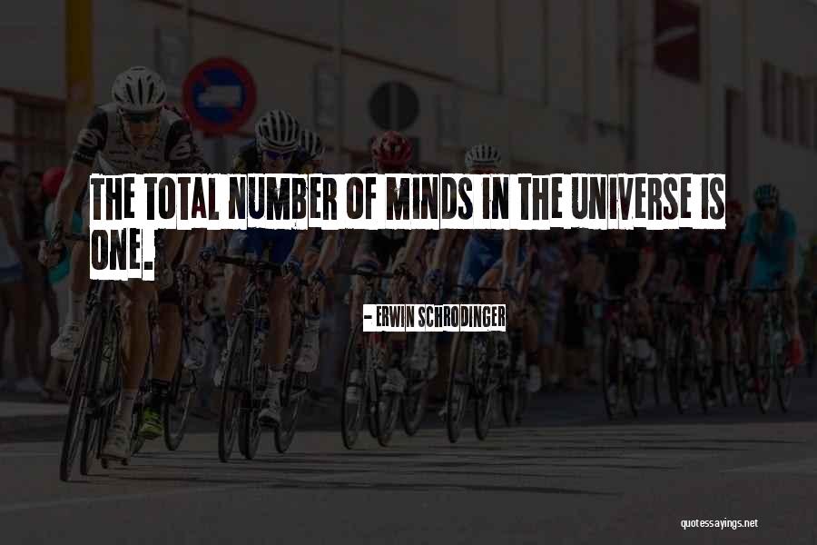 Mouret Motors Quotes By Erwin Schrodinger Mouret Motors Quotes By Erwin Schrodinger