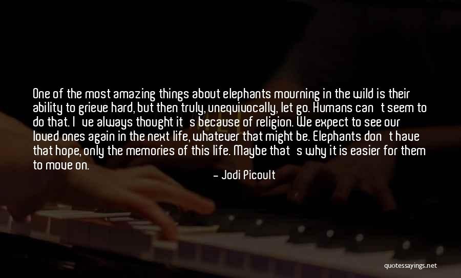 Mourning A Loved One Quotes By Jodi Picoult Mourning A Loved One Quotes By Jodi Picoult