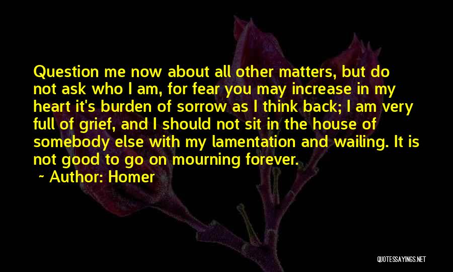 Mourning And Grief Quotes By Homer