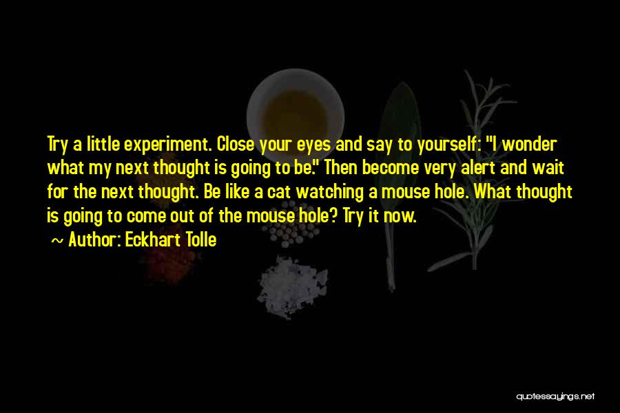 Mouse And Cat Quotes By Eckhart Tolle