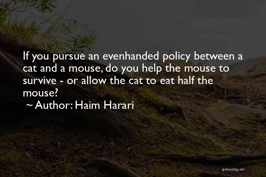 Mouse And Cat Quotes By Haim Harari