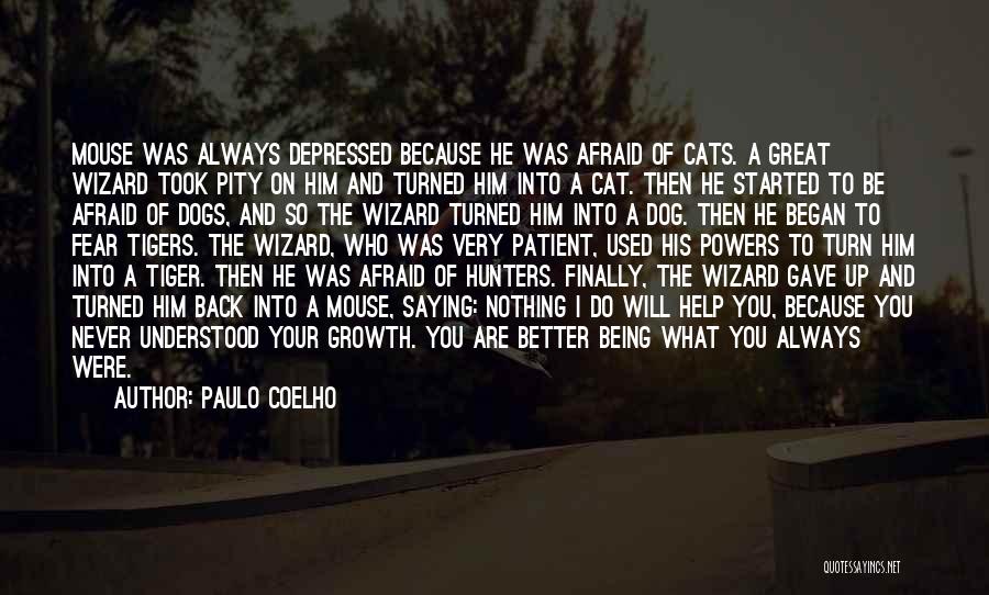 Mouse And Cat Quotes By Paulo Coelho