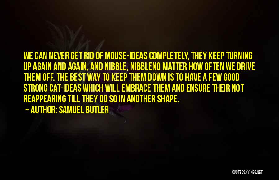 Mouse And Cat Quotes By Samuel Butler