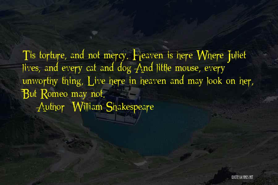 Mouse And Cat Quotes By William Shakespeare