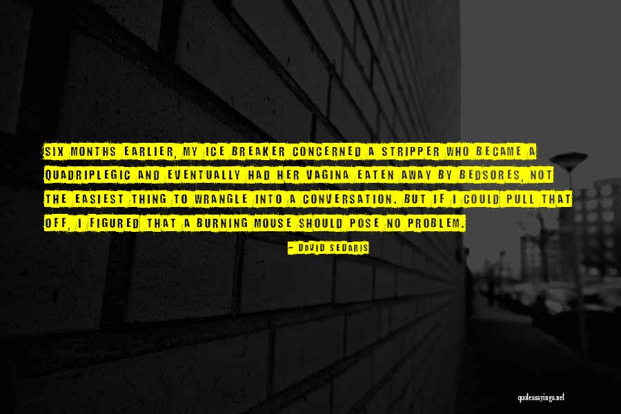 Mouse And Mouse Quotes By David Sedaris Mouse And Mouse Quotes By David Sedaris