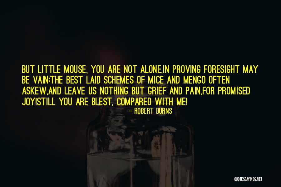 Mouse In Of Mice And Men Quotes By Robert Burns Mouse In Of Mice And Men Quotes By Robert Burns