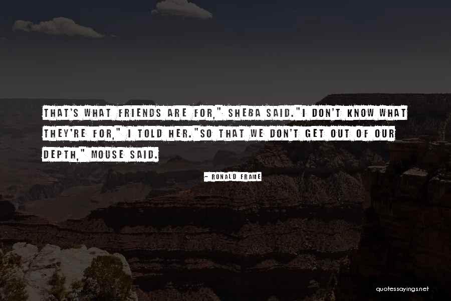 Mouse Quotes By Ronald Frame Mouse Quotes By Ronald Frame