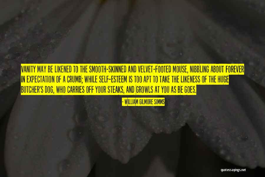 Mouse Quotes By William Gilmore Simms Mouse Quotes By William Gilmore Simms