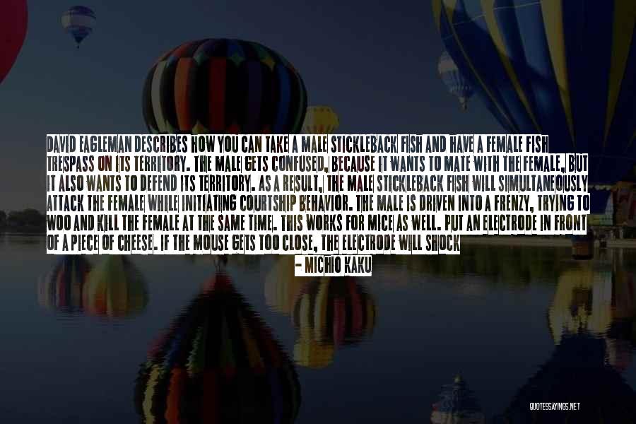 Mouse To Quotes By Michio Kaku Mouse To Quotes By Michio Kaku