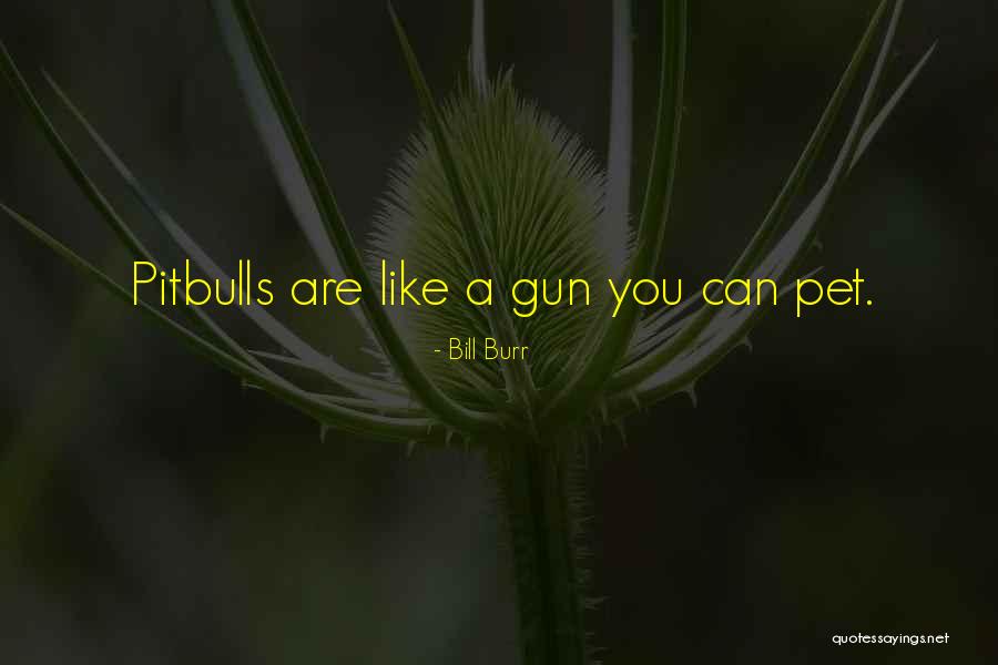 Mouseclick Quotes By Bill Burr Mouseclick Quotes By Bill Burr