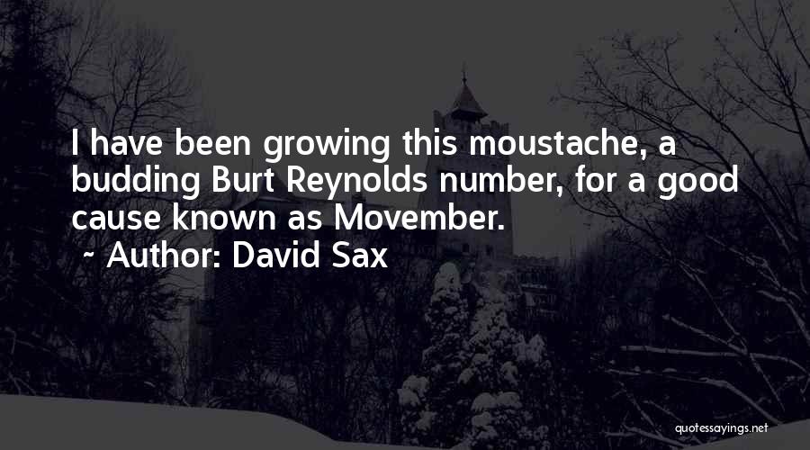 Moustache Movember Quotes By David Sax