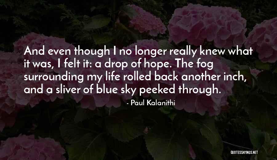 Moustica Quotes By Paul Kalanithi Moustica Quotes By Paul Kalanithi