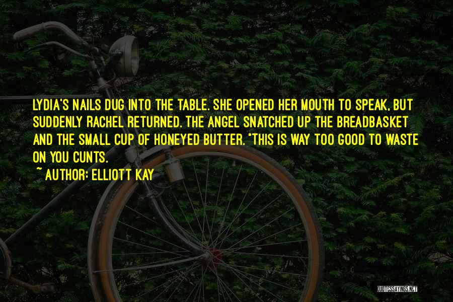 Mouth And Rachel Quotes By Elliott Kay