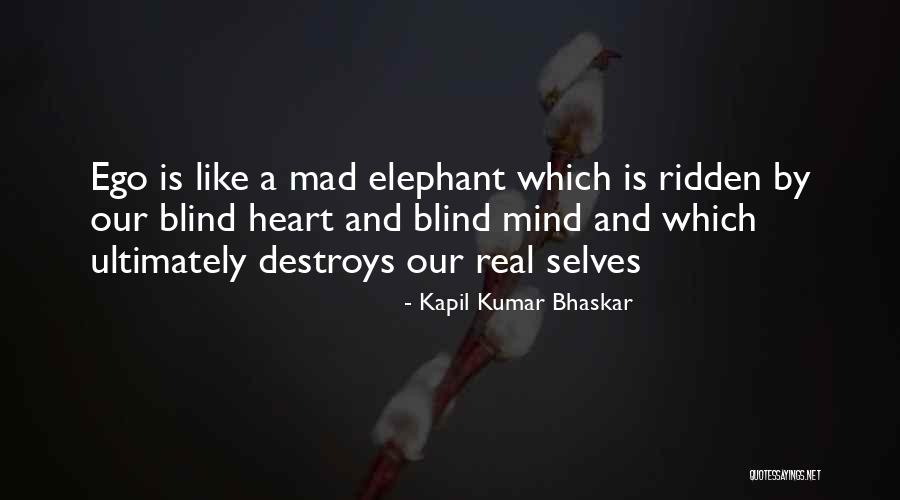 Mouthparts Dermacentor Quotes By Kapil Kumar Bhaskar Mouthparts Dermacentor Quotes By Kapil Kumar Bhaskar