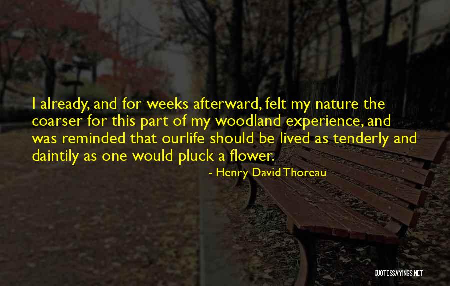 Mouthy Teenagers Quotes By Henry David Thoreau Mouthy Teenagers Quotes By Henry David Thoreau