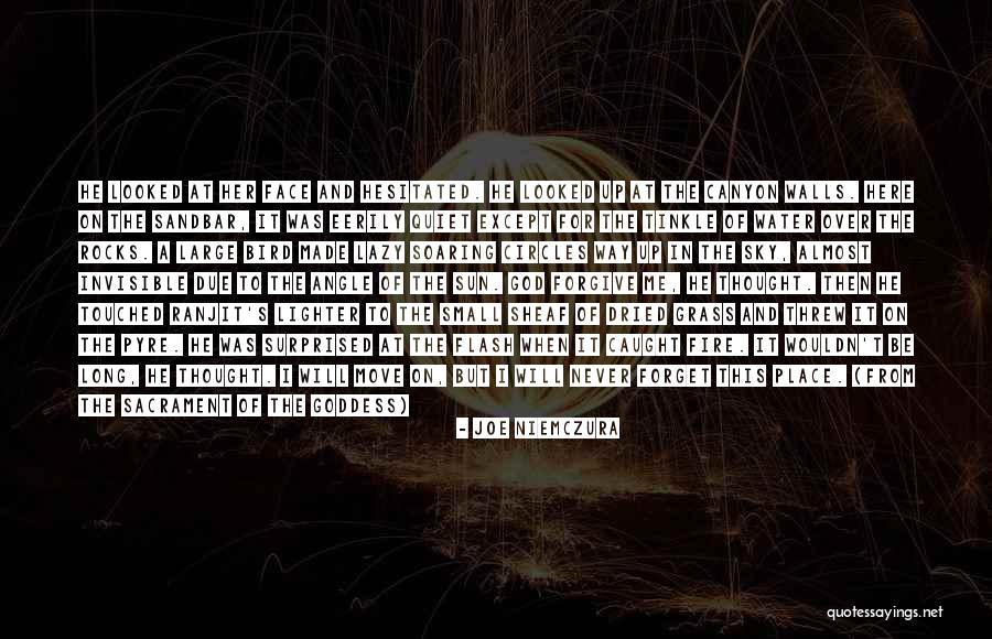 Move On And Forgive Quotes By Joe Niemczura Move On And Forgive Quotes By Joe Niemczura