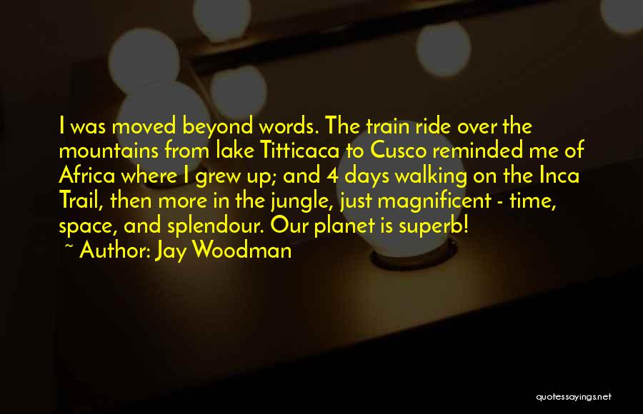 Moved Up Quotes By Jay Woodman