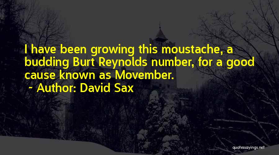 Movember Moustache Quotes By David Sax