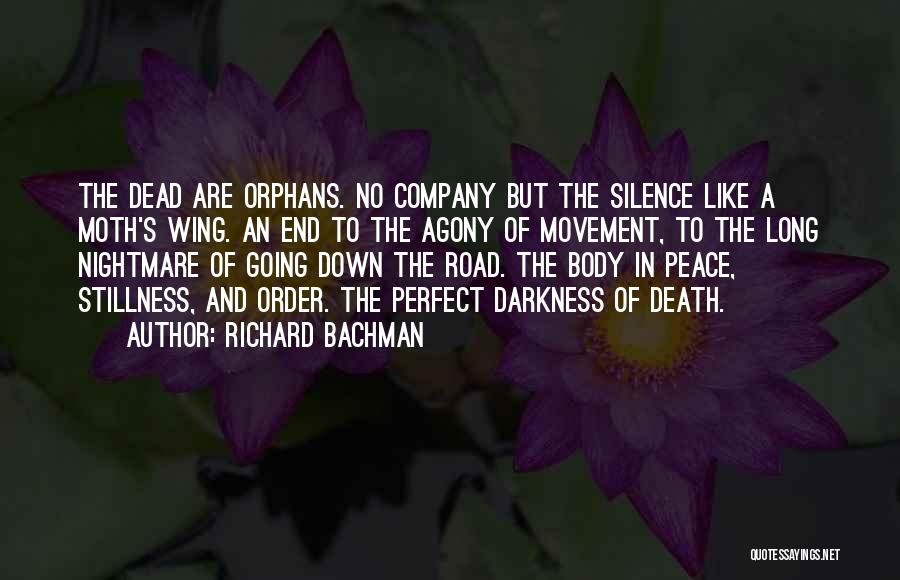 Movement And Stillness Quotes By Richard Bachman