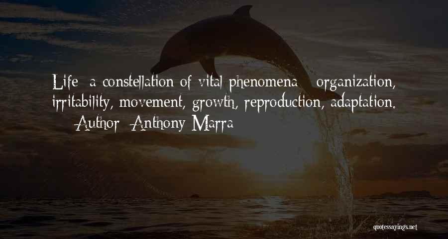 Movement Of Life Quotes By Anthony Marra