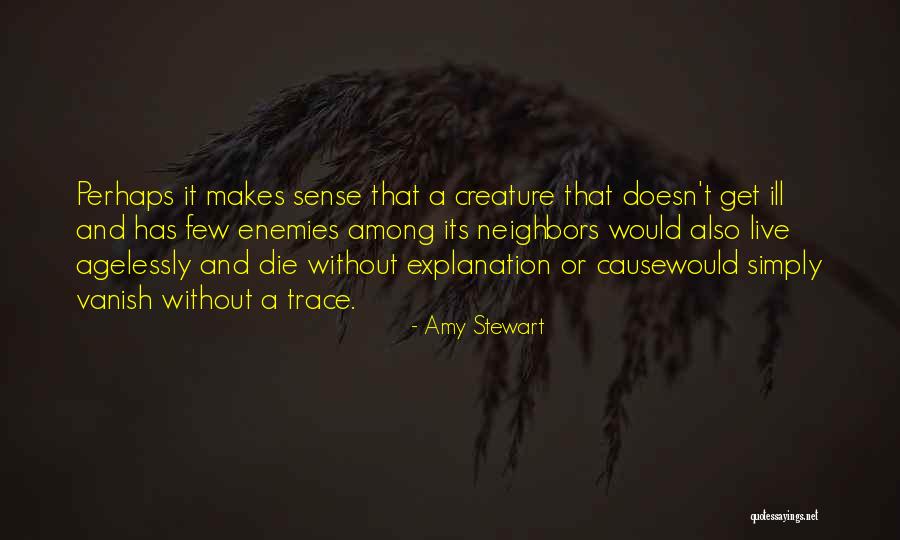Movie Betting Quotes By Amy Stewart Movie Betting Quotes By Amy Stewart