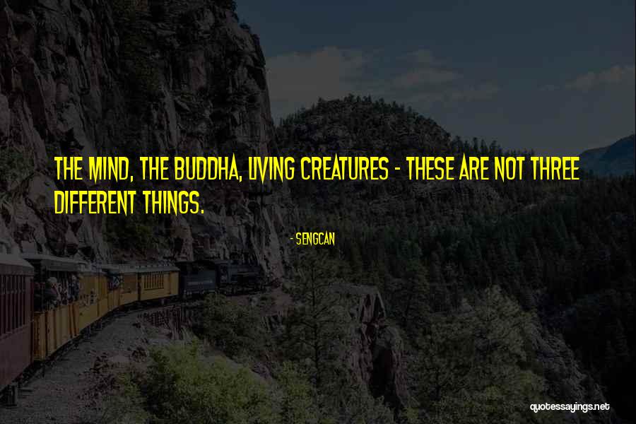 Movie Network Quotes By Sengcan Movie Network Quotes By Sengcan