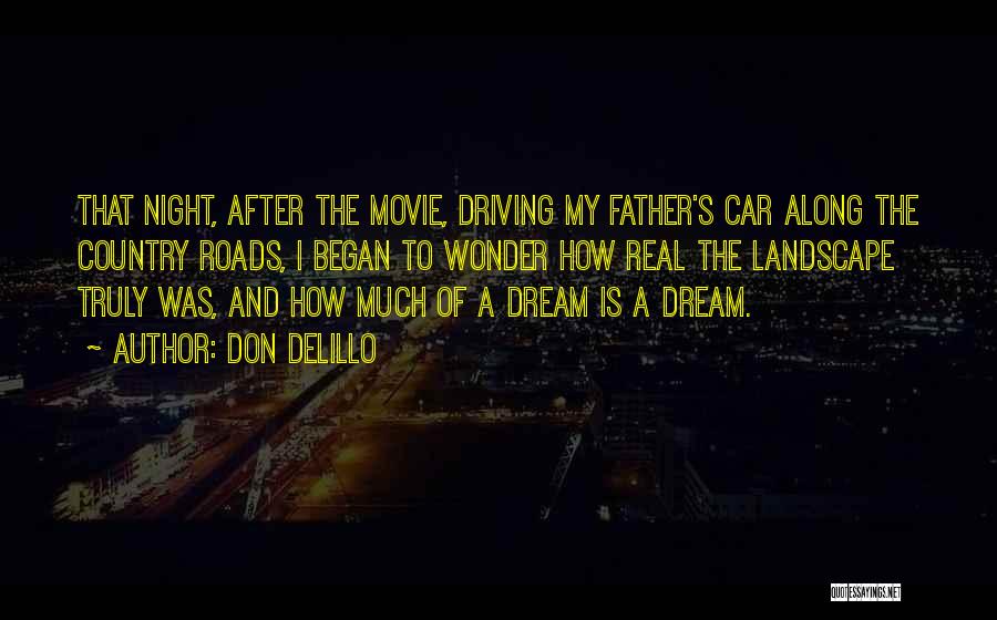 Movie Night Quotes By Don DeLillo