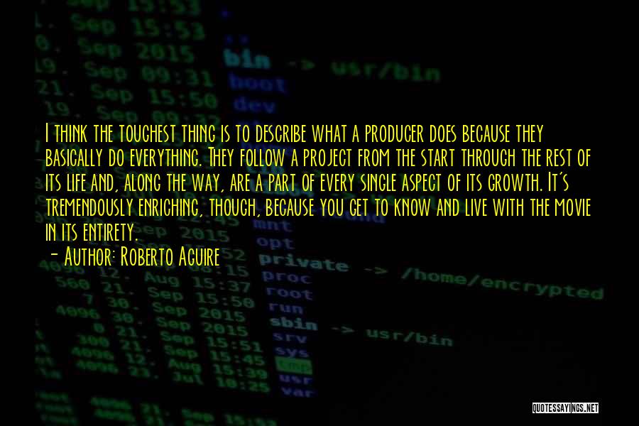 Movie Producer Quotes By Roberto Aguire