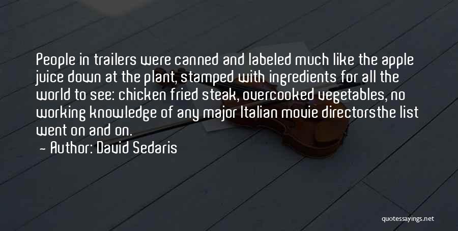 Movie Trailer Quotes By David Sedaris