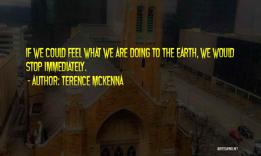 Movie Wedding Vows Quotes By Terence McKenna