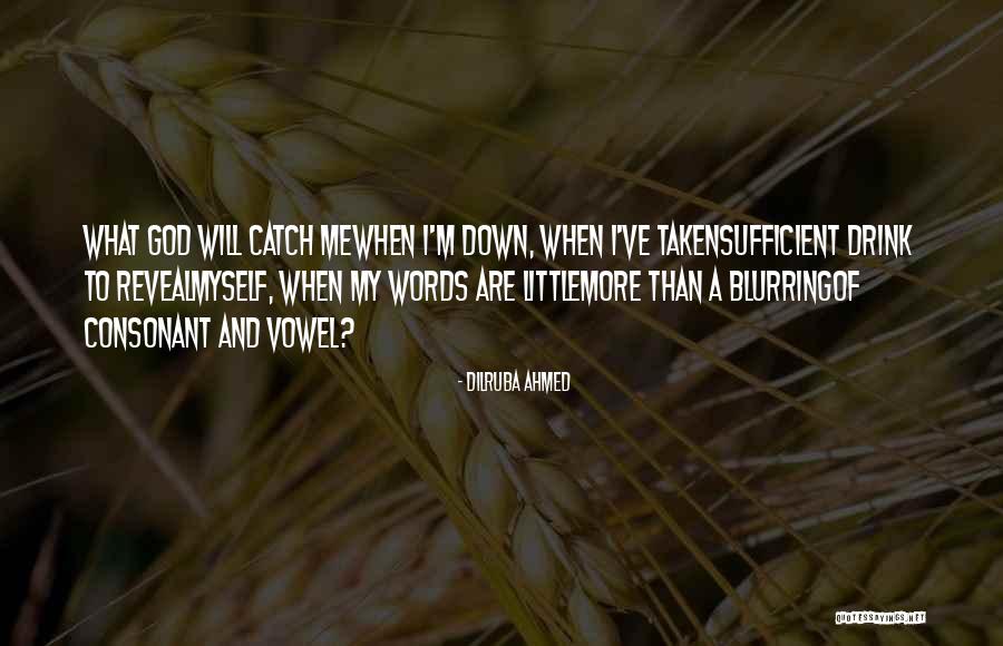 Moviegoer Book Quotes By Dilruba Ahmed Moviegoer Book Quotes By Dilruba Ahmed