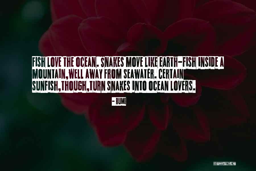 Moving Away Love Quotes By Rumi Moving Away Love Quotes By Rumi