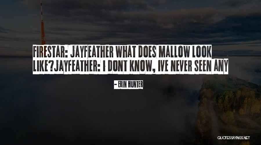 Moving Forward From Death Quotes By Erin Hunter Moving Forward From Death Quotes By Erin Hunter