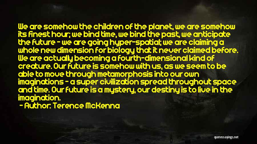 Moving Into The Future Quotes By Terence McKenna