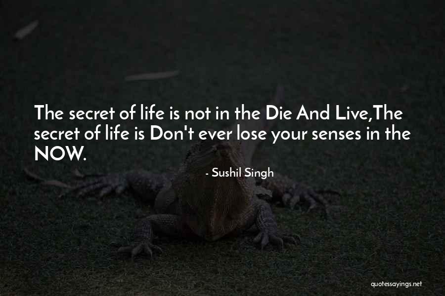 Moving On After Death Of A Child Quotes By Sushil Singh Moving On After Death Of A Child Quotes By Sushil Singh