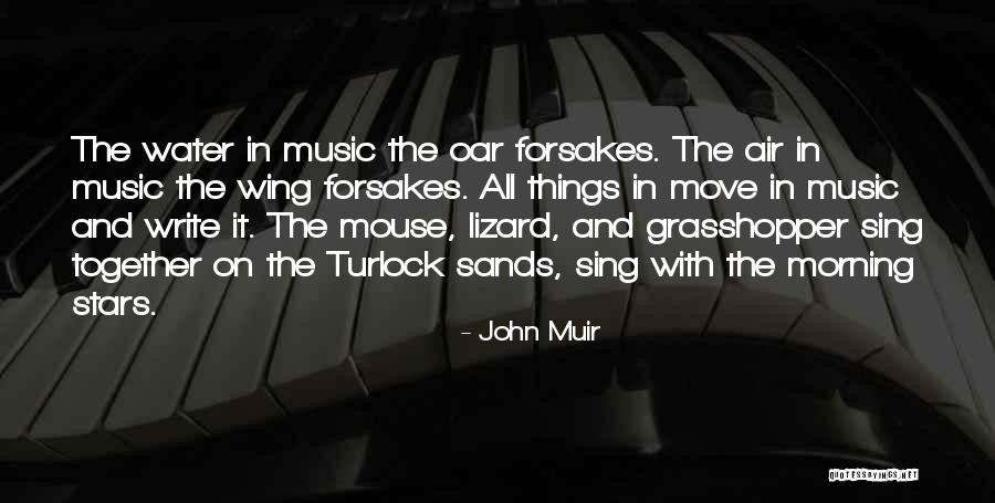 Moving On From Your Past Quotes By John Muir