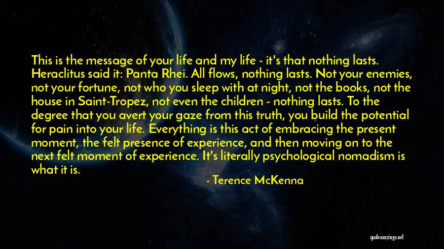 Moving On In Life Quotes By Terence McKenna