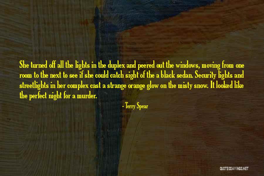 Moving On To The Next One Quotes By Terry Spear