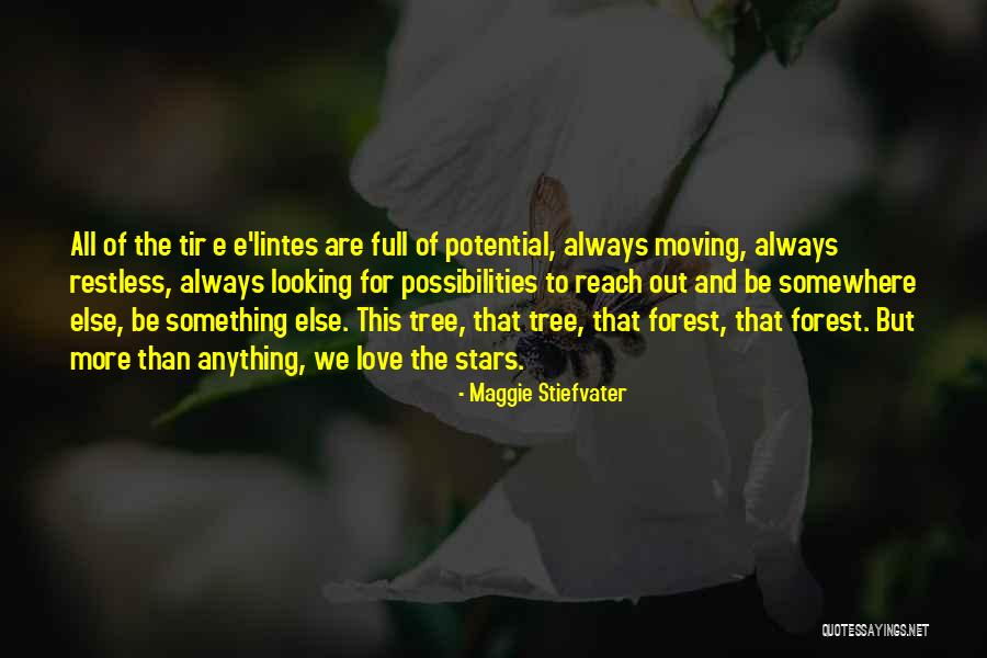 Moving Somewhere Quotes By Maggie Stiefvater