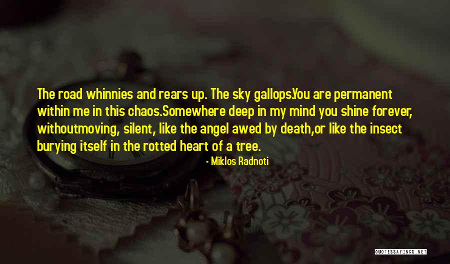 Moving Somewhere Quotes By Miklos Radnoti Moving Somewhere Quotes By Miklos Radnoti