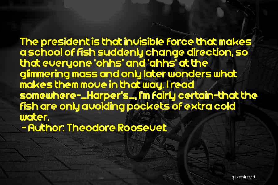 Moving Somewhere Quotes By Theodore Roosevelt