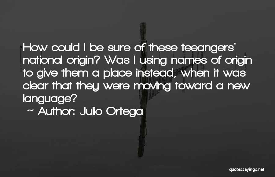 Moving To A New Place Quotes By Julio Ortega