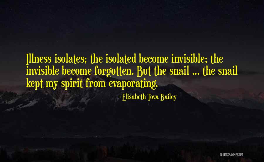 Movsisyan Lusine Quotes By Elisabeth Tova Bailey Movsisyan Lusine Quotes By Elisabeth Tova Bailey