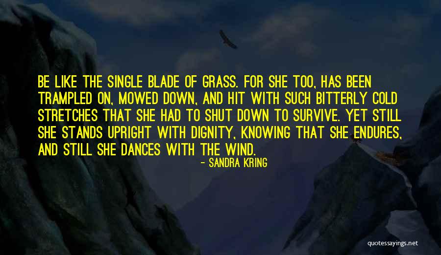 Mowed Down Quotes By Sandra Kring Mowed Down Quotes By Sandra Kring