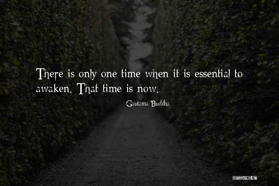 Mowlam Waterford Quotes By Gautama Buddha Mowlam Waterford Quotes By Gautama Buddha