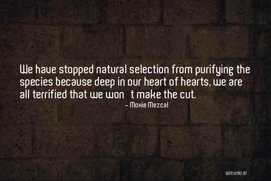 Moxie Mezcal Quotes 1130320 Moxie Mezcal Quotes 1130320
