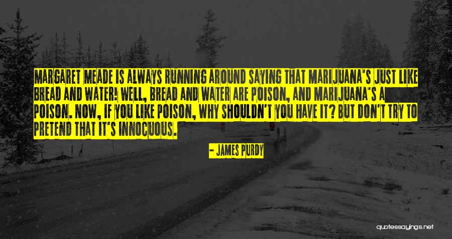 Moyra Quotes By James Purdy Moyra Quotes By James Purdy