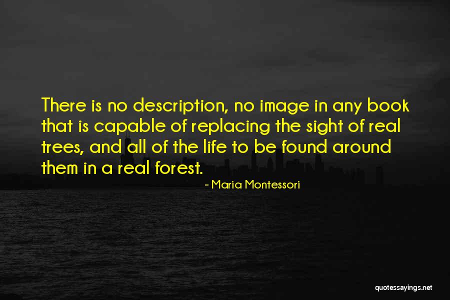Moyra Rose Quotes By Maria Montessori