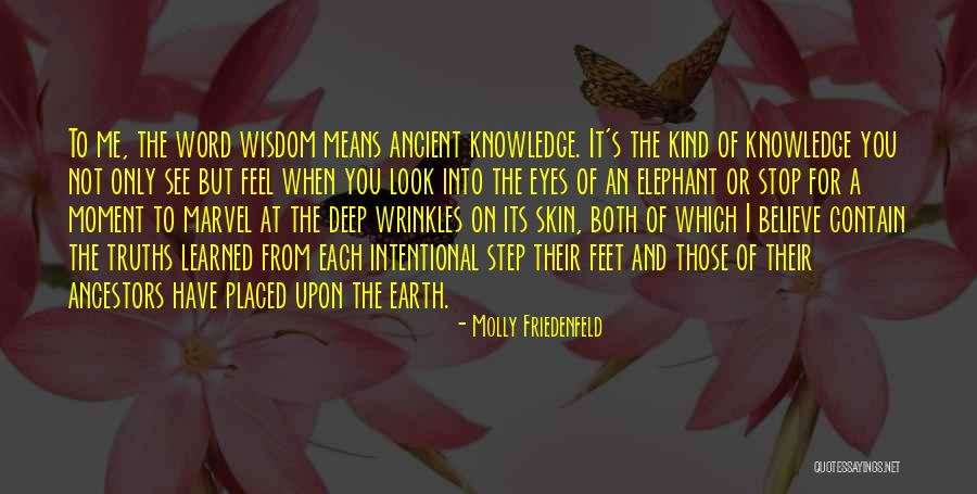 Mozerova Ulica Quotes By Molly Friedenfeld Mozerova Ulica Quotes By Molly Friedenfeld